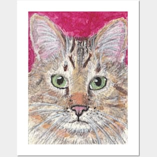 Tabby cat face Posters and Art